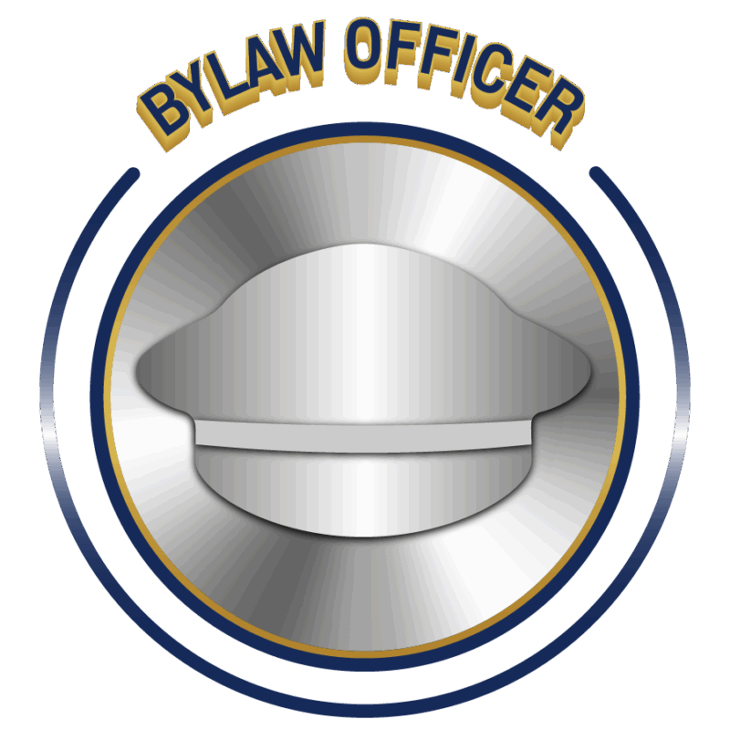 New Brunswick Special Constable and Bylaw Enforcement Officer Certification Course Modules