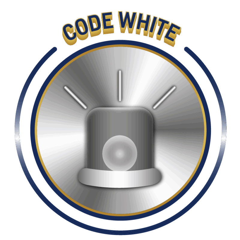 5 Star Healthcare Aggression Response Training (Code White) for Security